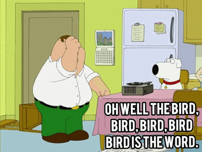 bird is the word gif