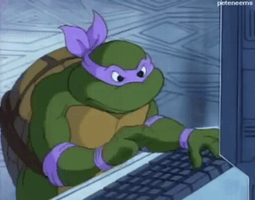 ninja turtle typing