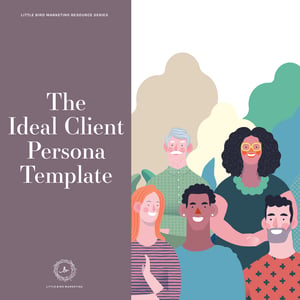The Ideal Client Persona Template