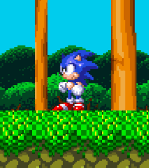 Sonic the Hedgehog waits