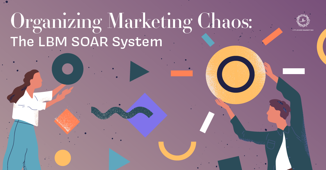 Organizing Marketing Chaos The LBM SOAR System