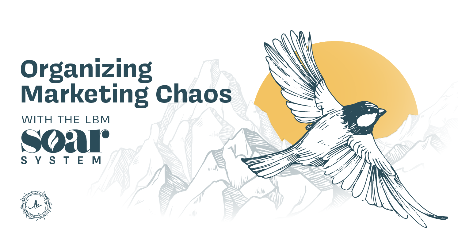Organizing Marketing Chaos: The LBM SOAR System
